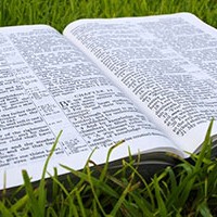 Pastoral Search Information